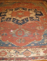 PTK Oriental Rug Center