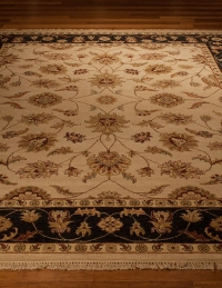 PTK Oriental Rug Center